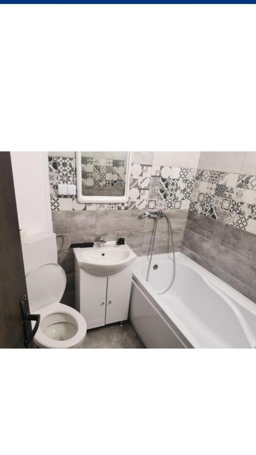 Vila Davison Târgu Jiu Exteriör bild