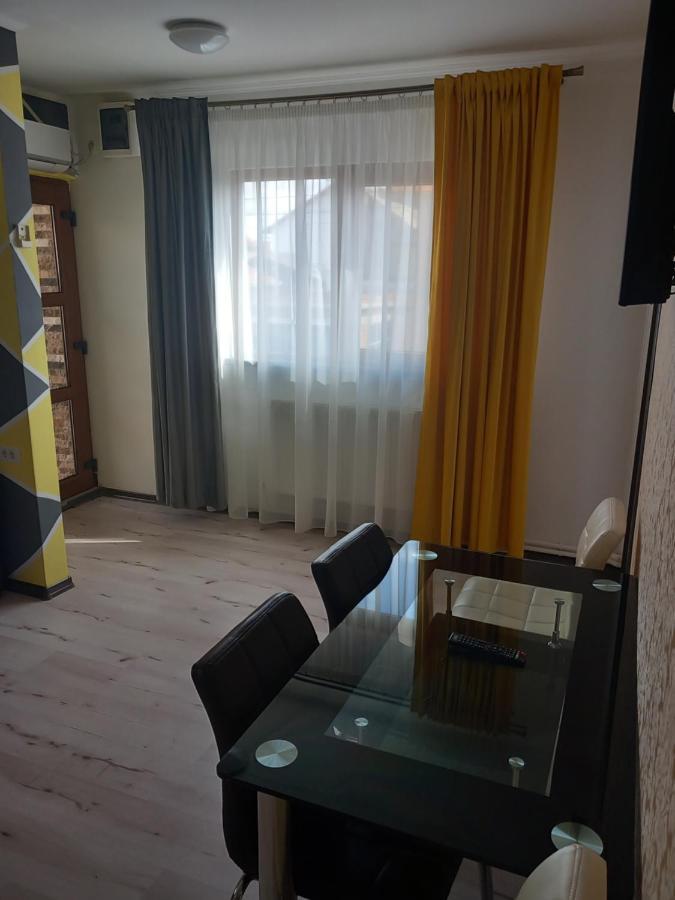 Vila Davison Târgu Jiu Exteriör bild