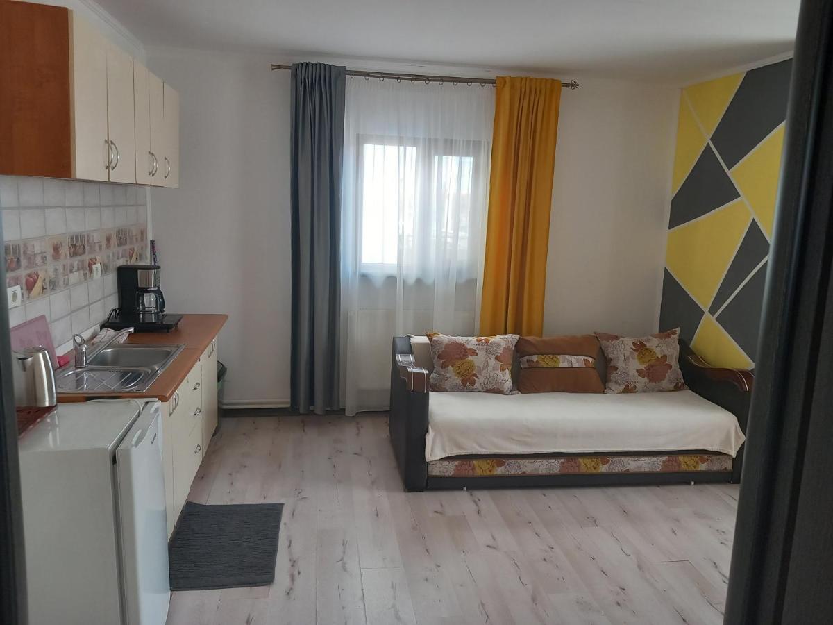 Vila Davison Târgu Jiu Exteriör bild