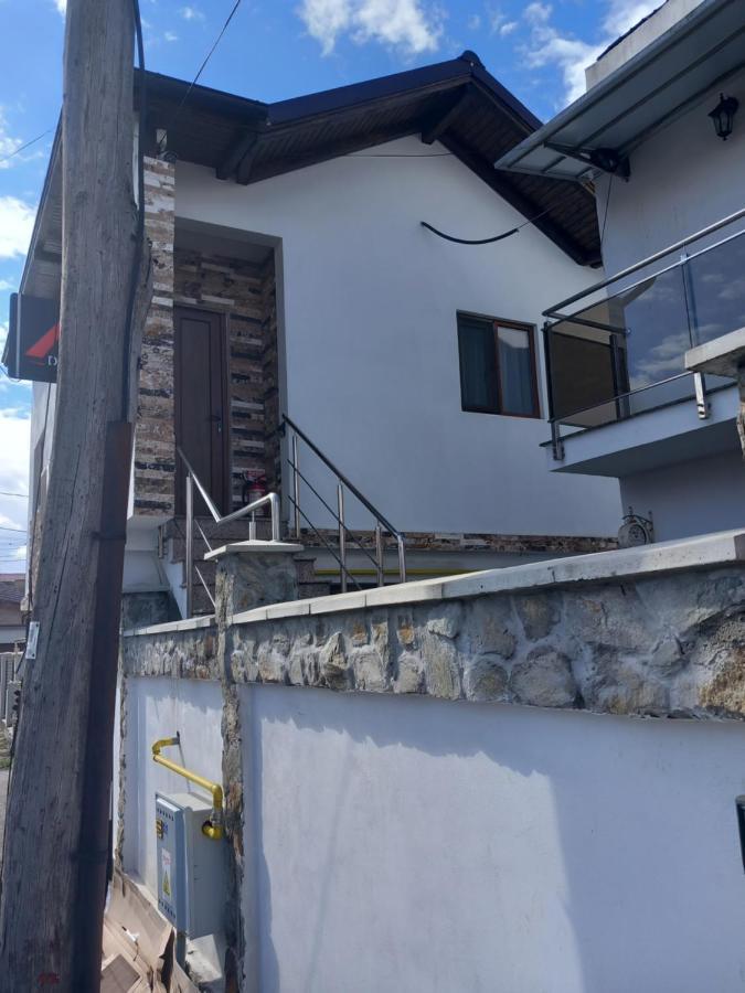 Vila Davison Târgu Jiu Exteriör bild