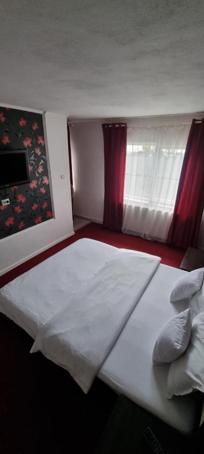Vila Davison Târgu Jiu Exteriör bild