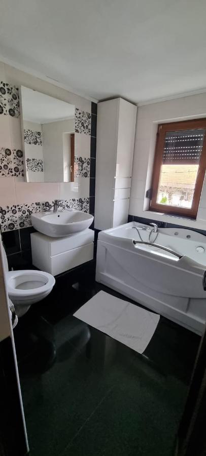 Vila Davison Târgu Jiu Exteriör bild