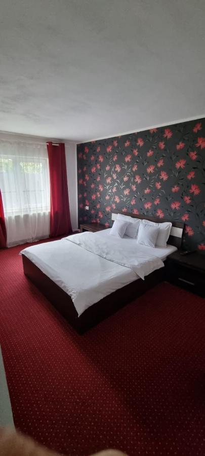 Vila Davison Târgu Jiu Exteriör bild