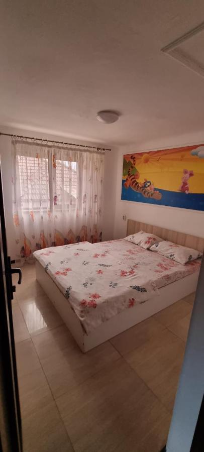 Vila Davison Târgu Jiu Exteriör bild