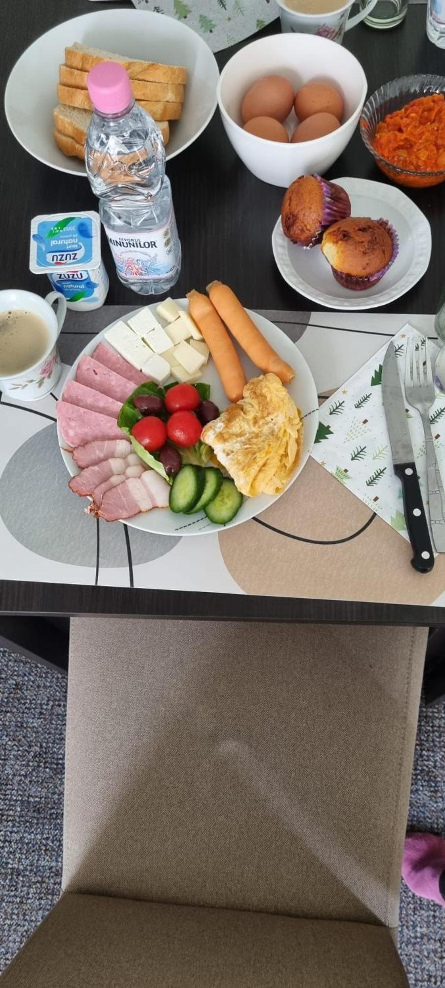 Vila Davison Târgu Jiu Exteriör bild
